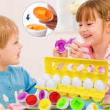 Find and Match Matching Eggs - 4 Seasons Family